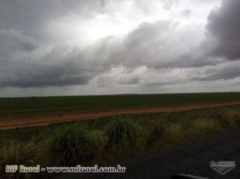 Fazenda Luis Eduardo Magalhães - 750 Hectares - Uma das Últimas Existentes