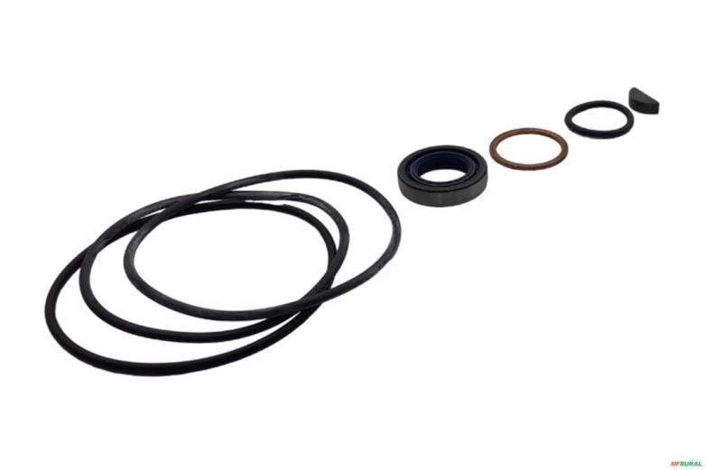 Reparo da Bomba - ZF 7673 955 Imagem Reparo da Bomba - ZF 7673 955