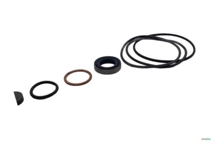 Imagem Reparo da Bomba - ZF 7673 955 Imagem Reparo da Bomba - ZF 7673 955