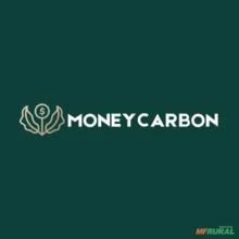 Consultoria para crédito carbono