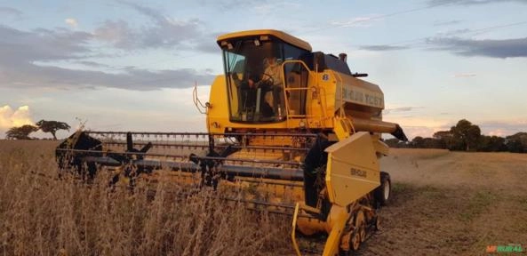 Colheitadeira New Holland TC 57 Ano 2002 Imagem Colheitadeira New Holland TC 57 Ano 2002