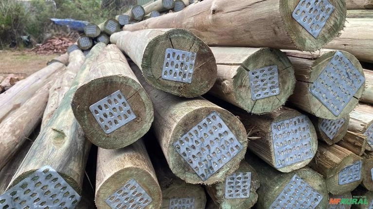 Palanque para cerca - Eucalipto Tratado em Autoclave 2,2 m 08 a 10 cm de diâmetro Imagem Palanque para cerca - Eucalipto Tratado em Autoclave 2,2 m 08 a 10 cm de diâmetro