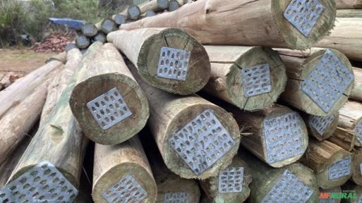 Palanque para cerca - Eucalipto Tratado em Autoclave 2,2 m 6 a 8 cm de diâmetro Imagem Palanque para cerca - Eucalipto Tratado em Autoclave 2,2 m 6 a 8 cm de diâmetro