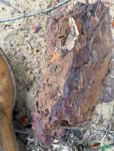 Mineradora de Nióbio Imagem Mineradora de Nióbio