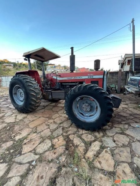 Trator Massey Ferguson 299 Imagem Trator Massey Ferguson 299