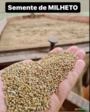 MILHETO Imagem MILHETO