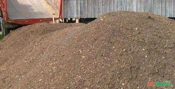 Cama de frango Imagem Cama de frango