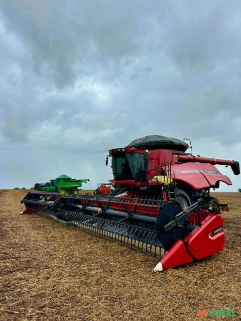 Colheitadeira Case Axial-Flow AFS 8230 – Ano 2019 Imagem Colheitadeira Case Axial-Flow AFS 8230 – Ano 2019