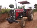 Trator Massey Ferguson 275 Imagem Trator Massey Ferguson 275