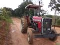 Trator Massey Ferguson 275 Imagem Trator Massey Ferguson 275