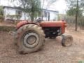 Trator Massey Fergunson 65X Imagem Trator Massey Fergunson 65X