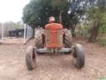 Trator Massey Fergunson 65X Imagem Trator Massey Fergunson 65X