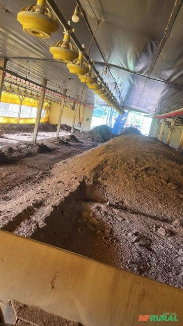 Imagem Adubo Organico Cama De Frango Imagem Adubo Organico Cama De Frango