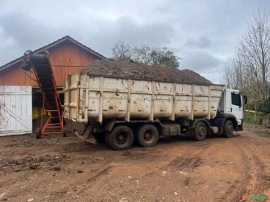 Imagem Adubo Organico Cama De Frango Imagem Adubo Organico Cama De Frango