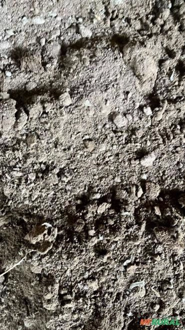 Imagem Adubo Organico Cama De Frango Imagem Adubo Organico Cama De Frango