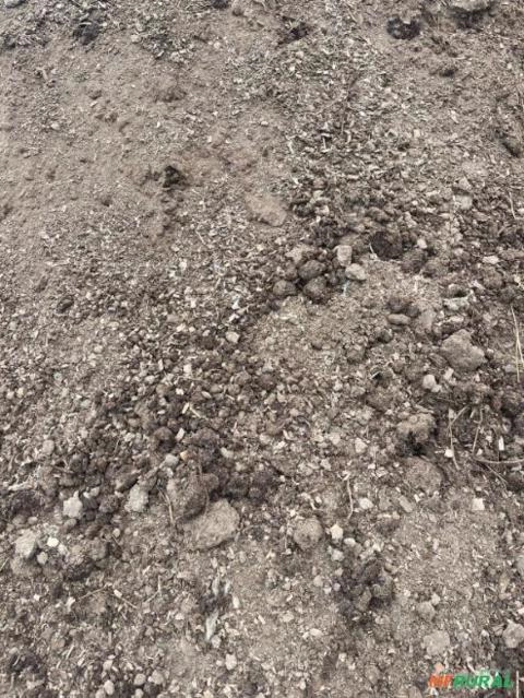 Imagem Adubo Organico Cama De Frango Imagem Adubo Organico Cama De Frango