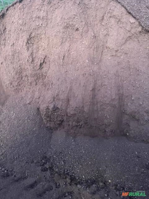 Imagem Adubo Organico Cama De Frango Imagem Adubo Organico Cama De Frango