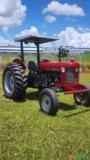 Massey Ferguson 65X 4x2 Imagem Massey Ferguson 65X 4x2