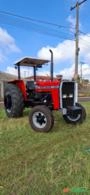 Trator Massey Ferguson 290 4x2 Imagem Trator Massey Ferguson 290 4x2