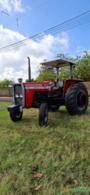 Trator Massey Ferguson 290 4x2 Imagem Trator Massey Ferguson 290 4x2