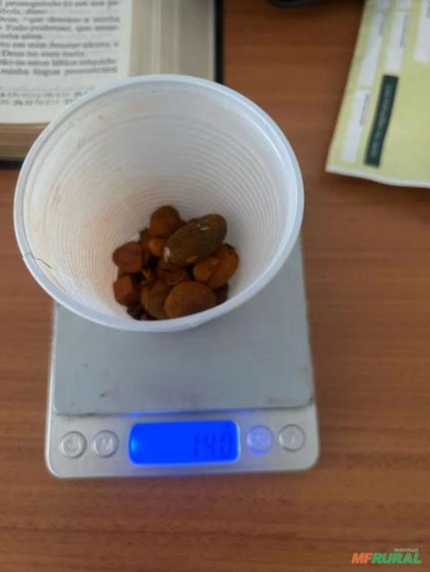 Imagem Compro Pedra de fel bovina Imagem Compro Pedra de fel bovina