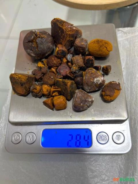 Imagem Compro Pedra de fel bovina Imagem Compro Pedra de fel bovina