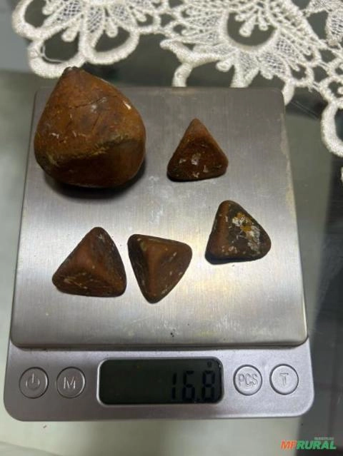 Imagem Compro Pedra de fel bovina Imagem Compro Pedra de fel bovina