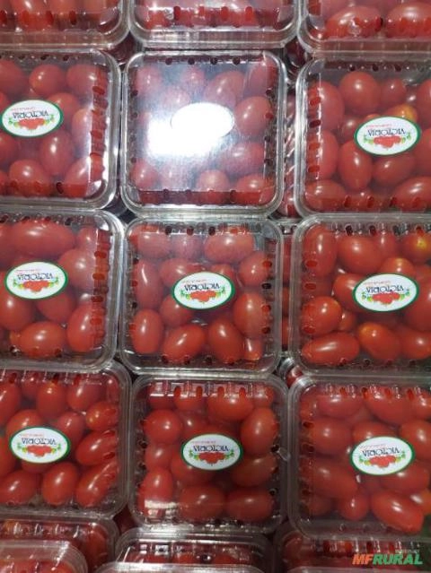 Imagem TOMATE SWEET GRAPE Imagem TOMATE SWEET GRAPE