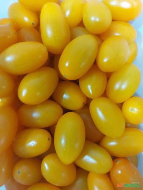 Imagem TOMATE SWEET GRAPE Imagem TOMATE SWEET GRAPE