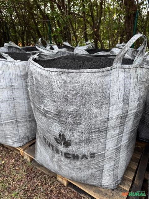 Biochar - Biomassa de cavaco de Eucalipto Imagem Biochar - Biomassa de cavaco de Eucalipto