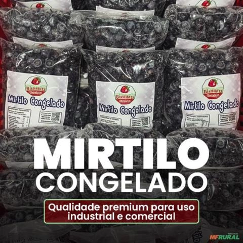 Mirtilo Congelado 1kg - Diamantes Vermelhos Imagem Mirtilo Congelado 1kg - Diamantes Vermelhos