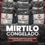 Mirtilo Congelado 1kg - Diamantes Vermelhos Imagem Mirtilo Congelado 1kg - Diamantes Vermelhos