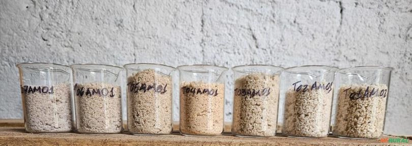 Jazida - Areia - Direitos Minerários Imagem Jazida - Areia - Direitos Minerários