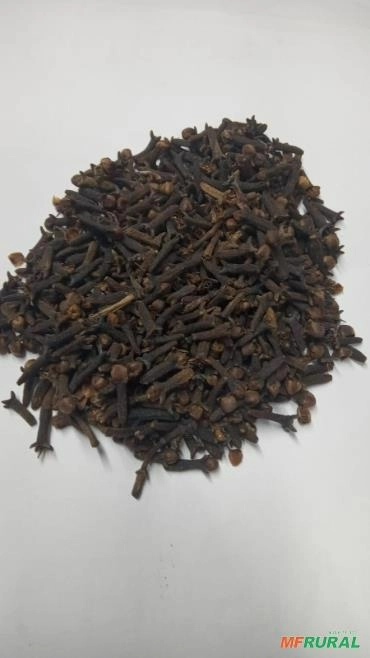 Cravo da India Imagem Cravo da India