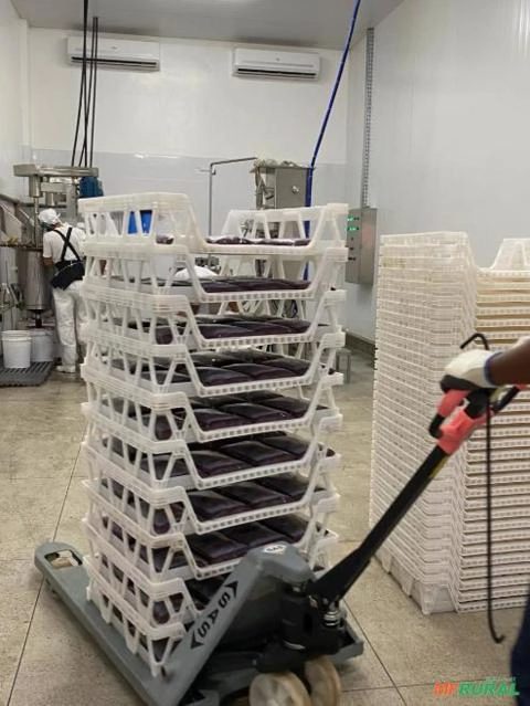 Polpa de açaí Imagem Polpa de açaí