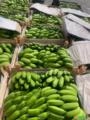 Banana maçã Imagem Banana maçã