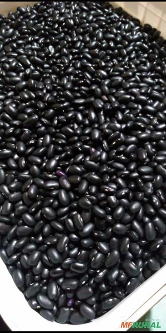 Feijão preto Orgânico Imagem Feijão preto Orgânico