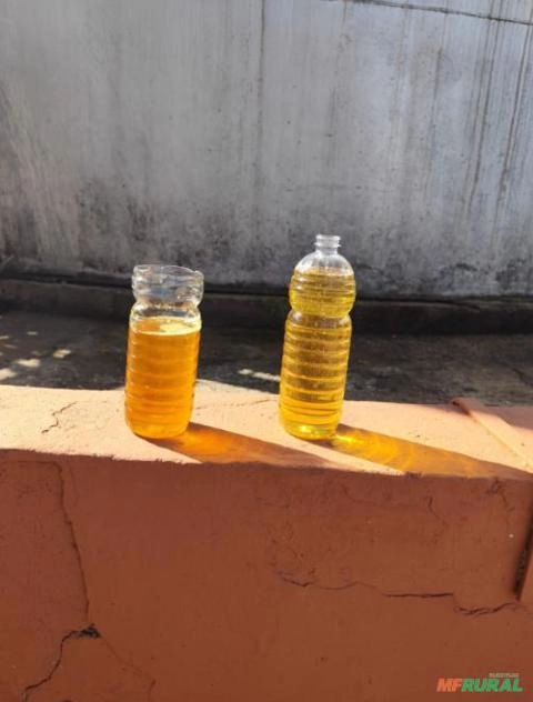 ÓLEO DE SOJA EXTRA VIRGEM Imagem ÓLEO DE SOJA EXTRA VIRGEM