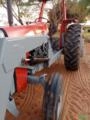 Trator Massey Ferguson 290 com grade Imagem Trator Massey Ferguson 290 com grade