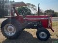 TRATOR MASSEY FERGUSON 275 1989 4X2 Imagem TRATOR MASSEY FERGUSON 275 1989 4X2
