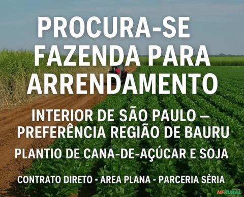 Procuro Fazenda para Arrendamento Imagem Procuro Fazenda para Arrendamento