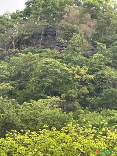 Imagem Jázida de calcário dolomítico com ótima logística Imagem Jázida de calcário dolomítico com ótima logística