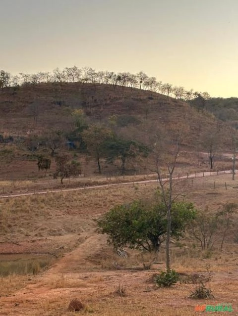 Imagem Jázida de calcário dolomítico com ótima logística Imagem Jázida de calcário dolomítico com ótima logística