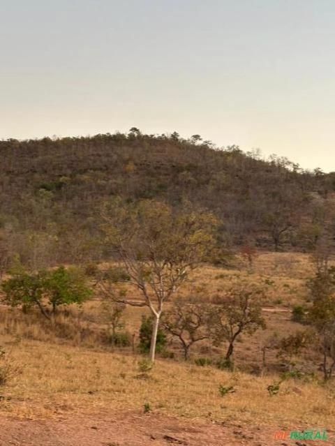 Jázida de calcário dolomítico com logística perfeita! Imagem Jázida de calcário dolomítico com logística perfeita!
