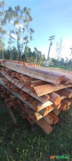 Lasca de Eucalipto Imagem Lasca de Eucalipto