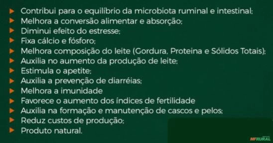 Suplemento mineral Imagem Suplemento mineral