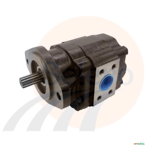 Bomba para lâmina dianteira de 12 estrias Imagem Bomba para lâmina dianteira de 12 estrias