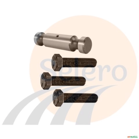 Pino e parafusos do pistão Imagem Pino e parafusos do pistão