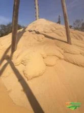 Porto de areia de quartzo, extração 1300 m³ dia