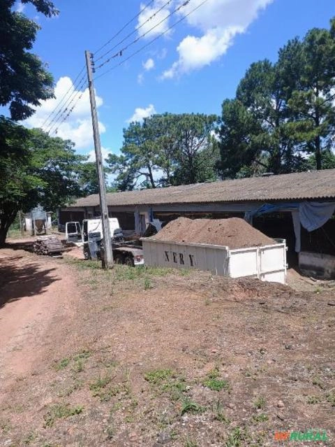 CAMA DE FRANGO Imagem CAMA DE FRANGO